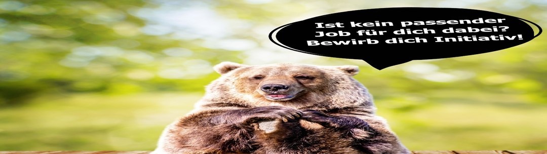 Initiativbewerbung