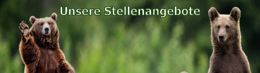 Stellenangebote in unseren Apotheken