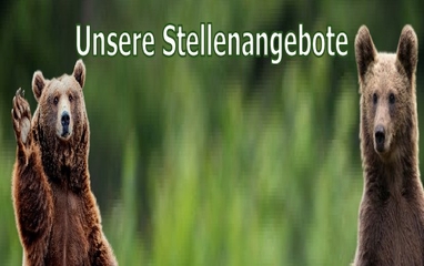 Unsere Stellenangebote